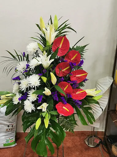 Flores Trevín